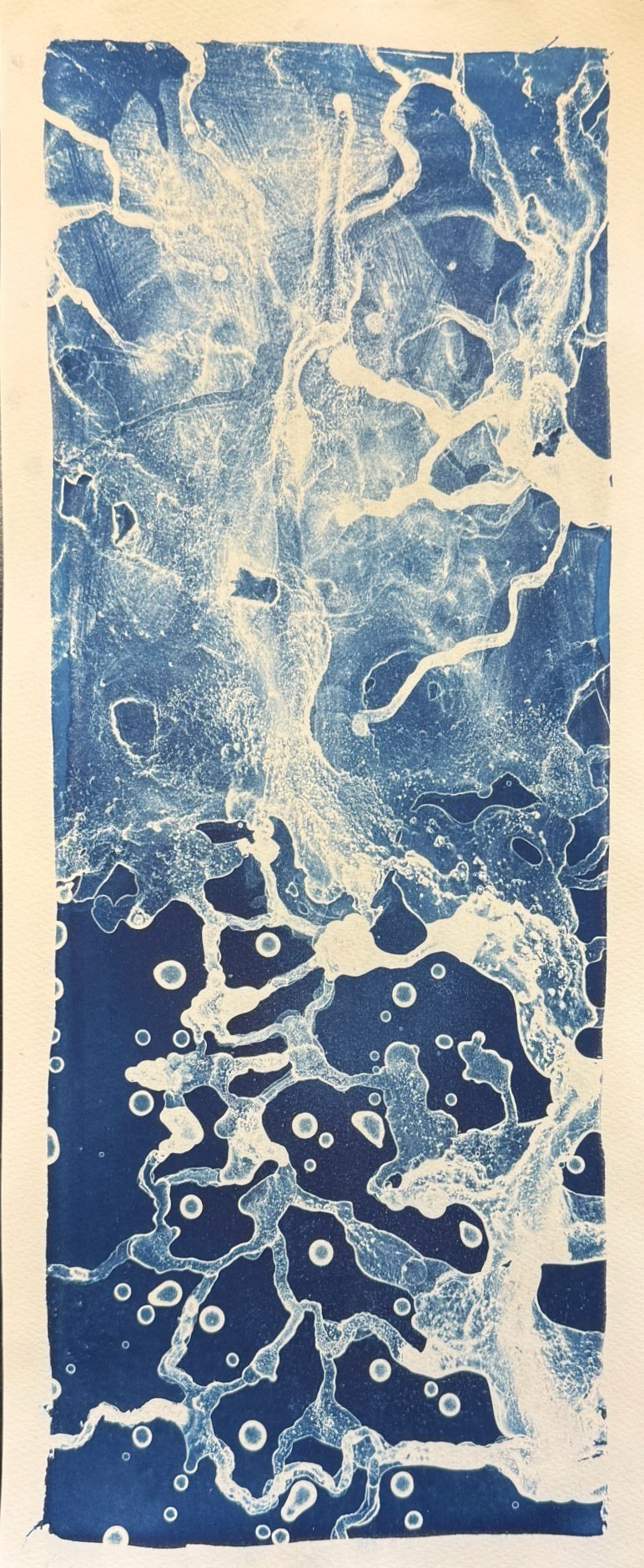 Cyanotype 1